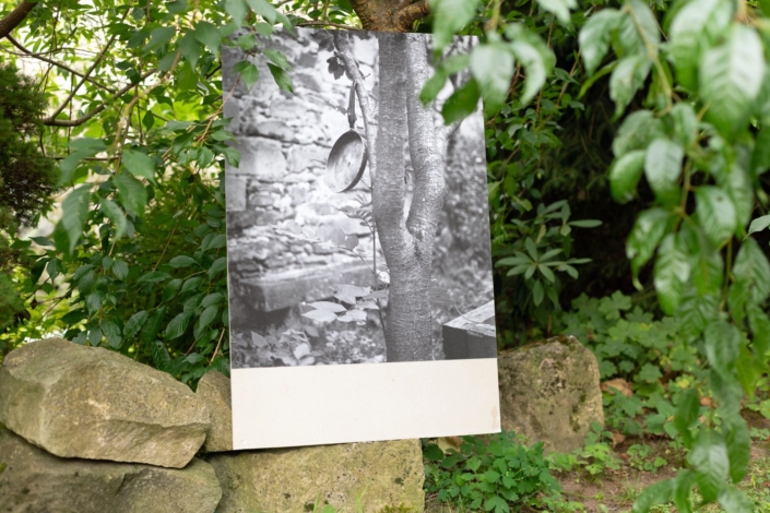 2026-ARA_6915 Löblhof & Artgrund
